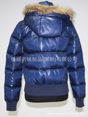 【廠家批發(fā)供應(yīng)女裝連帽毛條防水保暖羽絨服生產(chǎn)訂制戶外羽絨制品96】價格,廠家,圖片,服裝加工,佰順羽絨制品(深圳)-