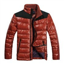 時尚與溫暖并存 探索與狼共舞 d wolves 羽絨服的細節(jié)魅力與報價